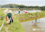 轉(zhuǎn)變模式，小海里“淘金”