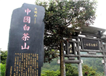 福鼎方家山村：茶葉富一方 畬村奔小康