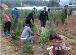 人勤春早 點(diǎn)頭農(nóng)民建起珍稀樹種苗圃基地展希望